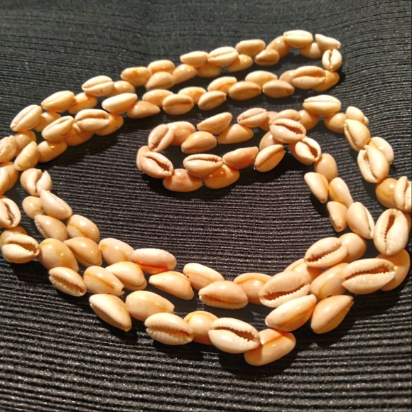 Elegant Shell Necklace - Picture 1 of 2